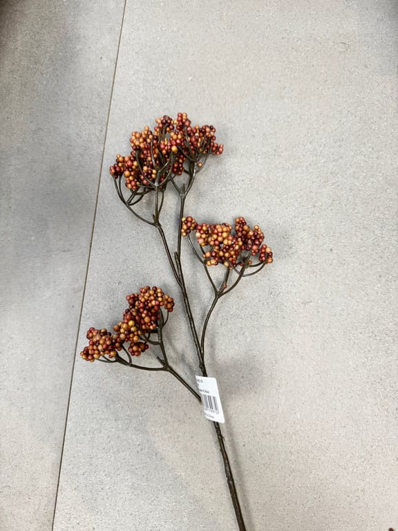 Orange stilk billede 3