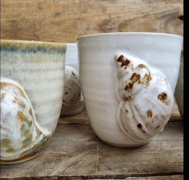 Konkylie kop billede 2