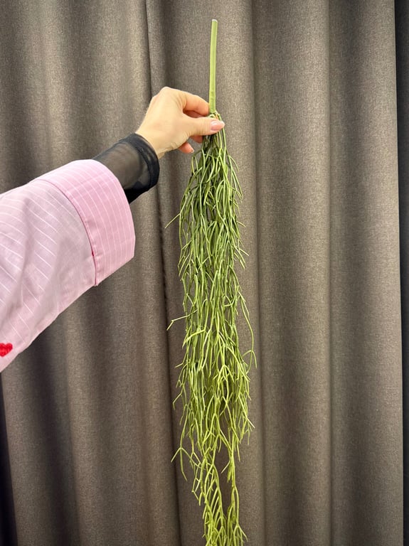 Phisalis hænge  billede 6