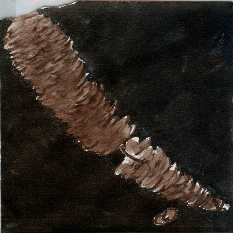 N2 - 18