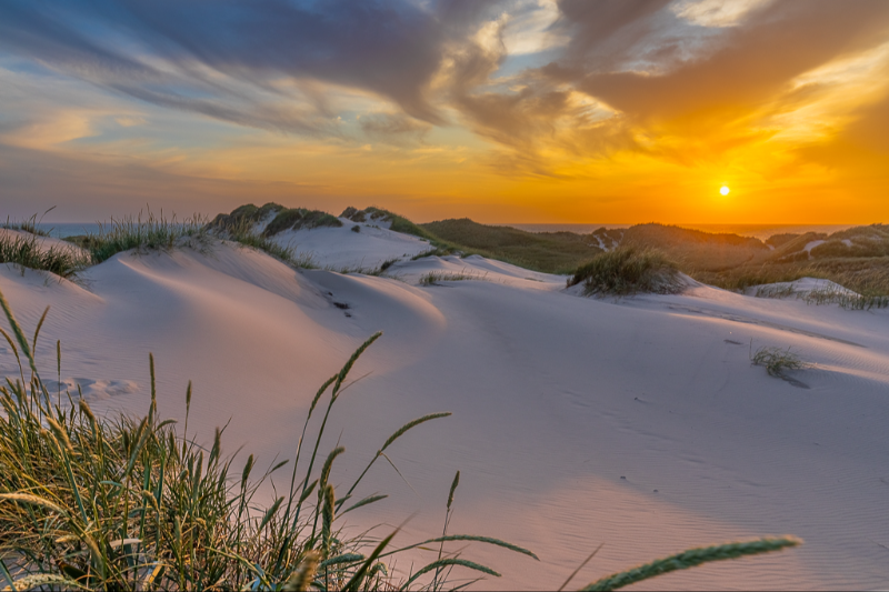 Klitterne i Gammel Skagen lige før solnedgang en smuk sommeraften