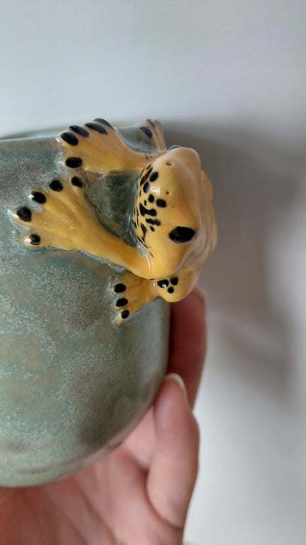 giftfrø kop billede 3