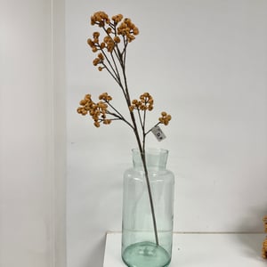 Bær gren orange  – produktbillede