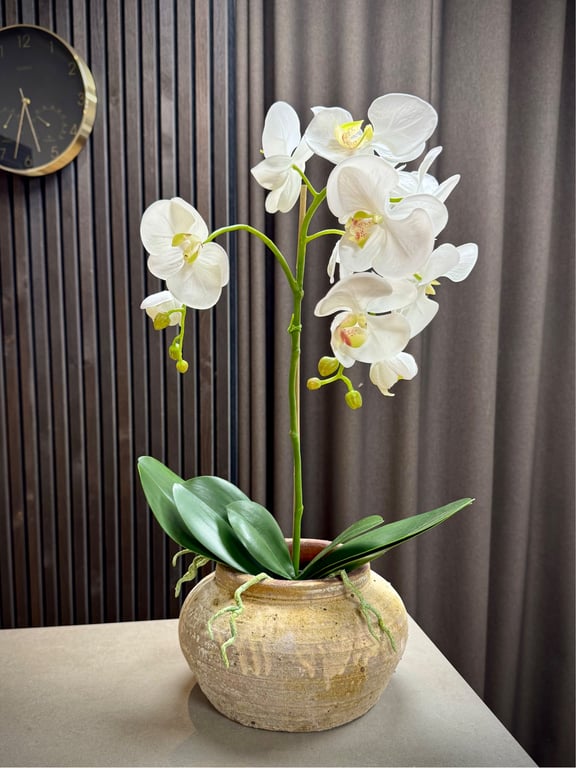 Orkidé hvid stor 