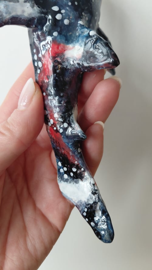 nebula hvalhaj, væghængt  (5)
