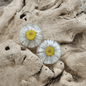 Tusindfryd øreclips. – produktbillede