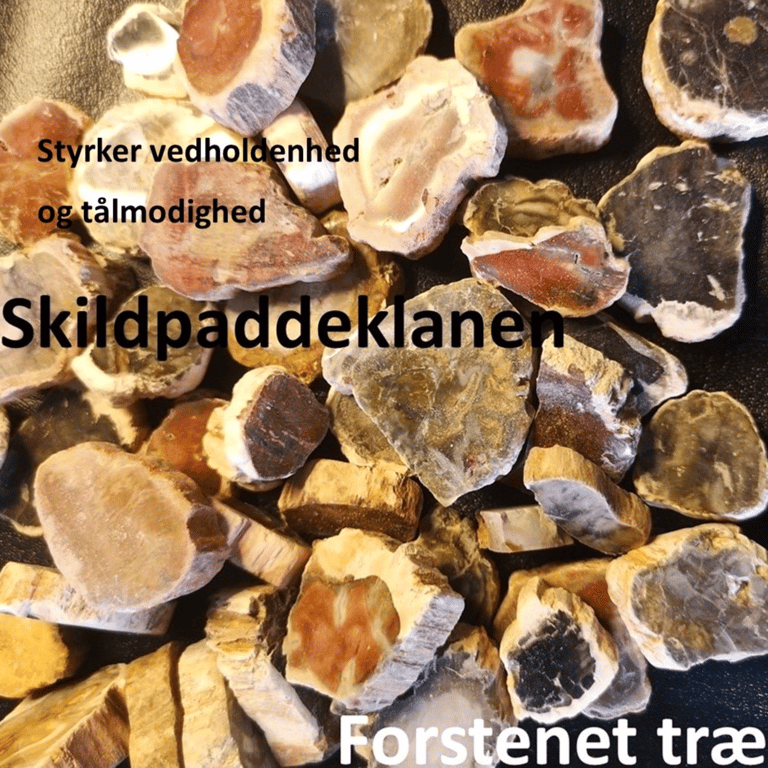 Kraftstenene i Medicinhjulet billede 10