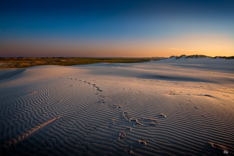  Fodspor på Råbjerg mile i Skagen lige efter solnedgang