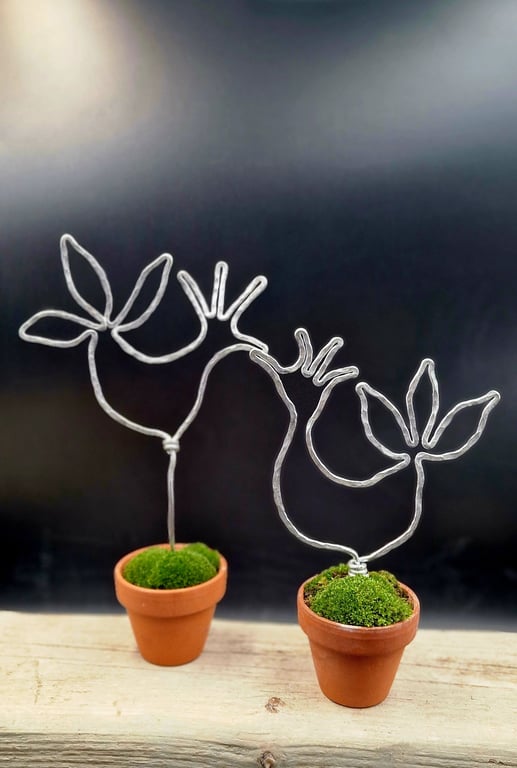 Høj høne billede 2