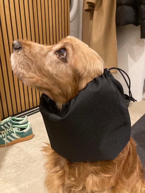 Øremuffe til hund 10-15 kg  billede 2
