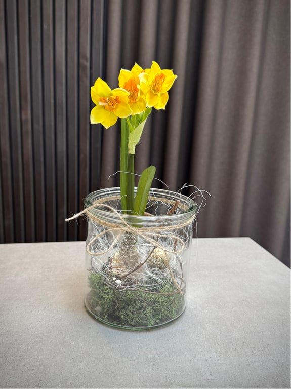 Narcisse i glas gul lille