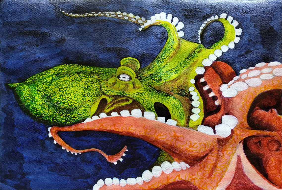 Embraced Cephalopod