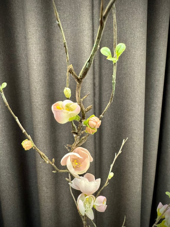 Æble gren  billede 4