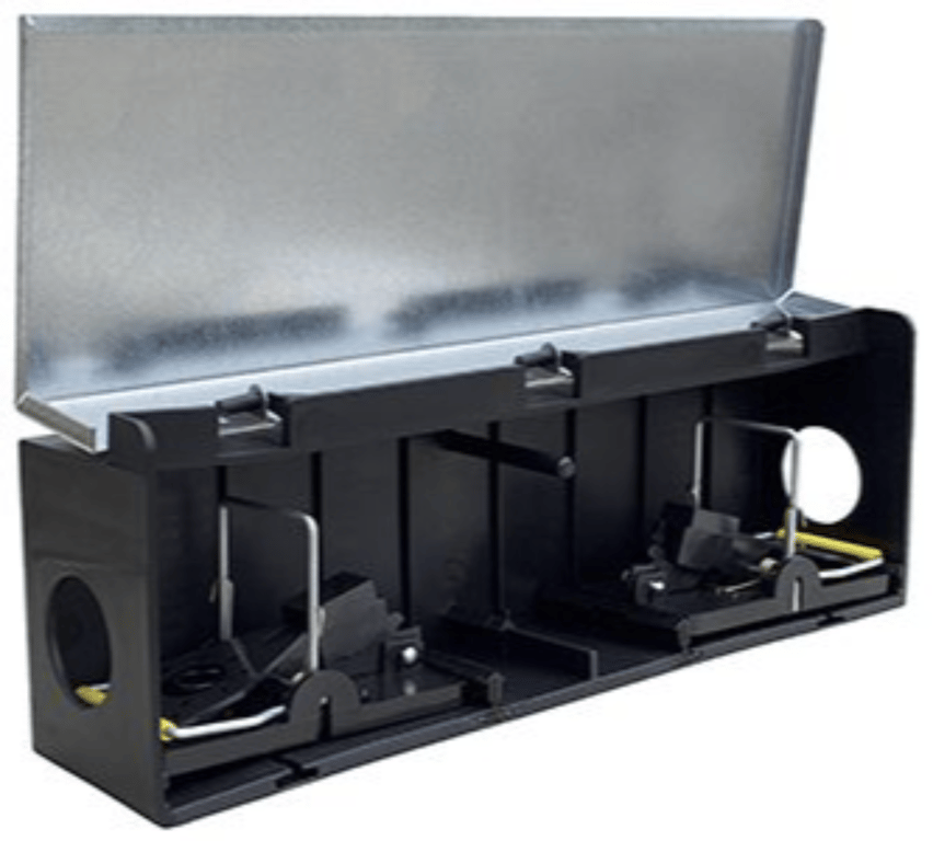 Tunnelbox Mus m/ 2 Smækfælder