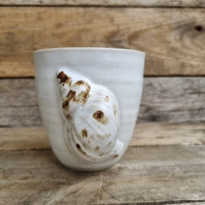 Konkylie kop – produktbillede