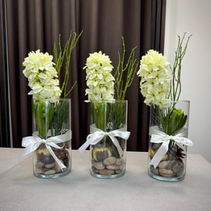 Hyacint i glas – produktbillede