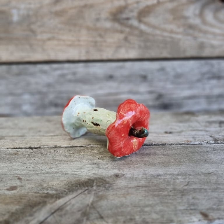 Æbleskrog rød billede 2