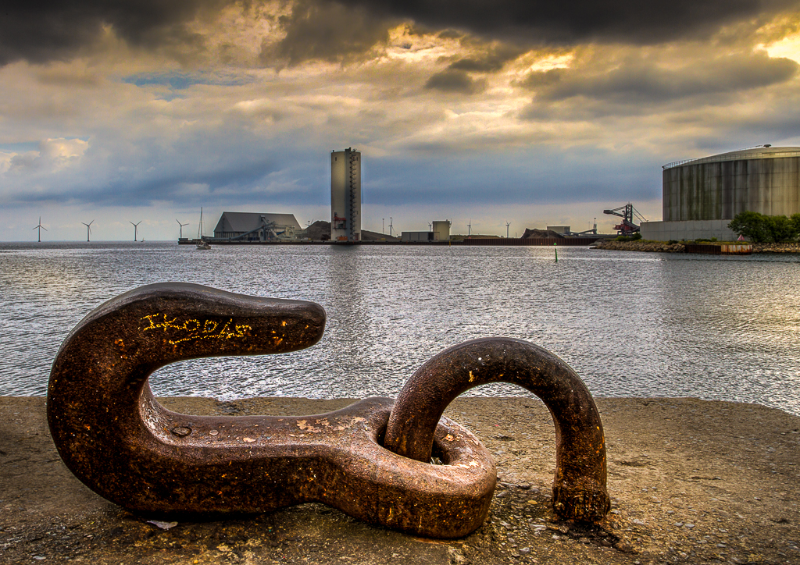 Udsigt over havnen på Refshaleøen