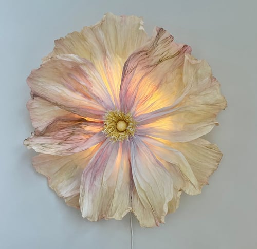 Stor blomst formet væglampe med sarte, bølgede kronblade i lyse nuancer af creme, rosa og gul, oplyst indefra mod en lys væg. (1)