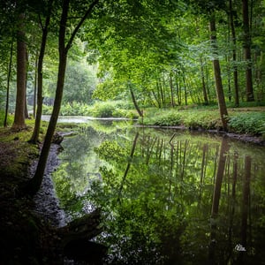 En smuk skovsø i Krageskoven ved Liselund på Møn  – produktbillede
