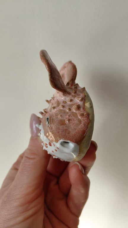 kuglefisk/pufferfish  billede 5