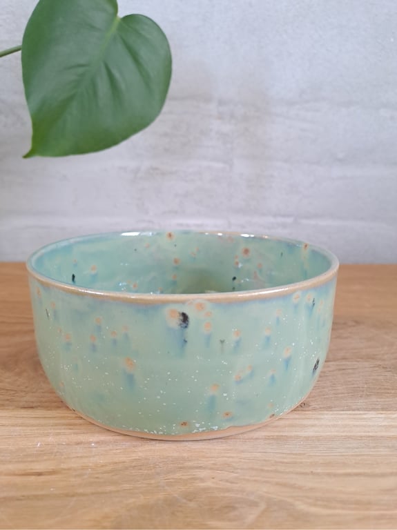 Slikskålen er 15 cm i diameter og 6 cm høj billede 2