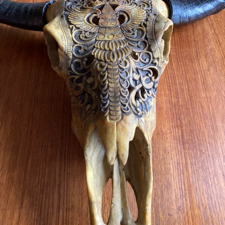 Dyrekranie - sorte horn (3)