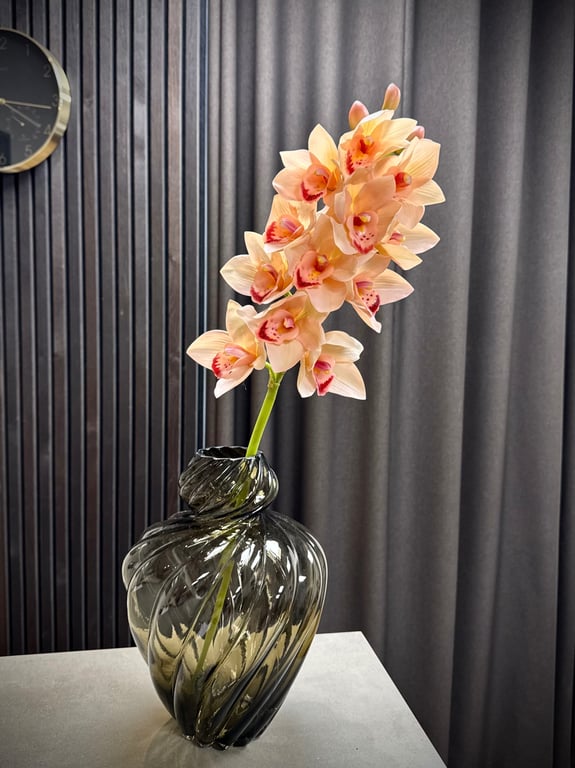 Cymbidium 