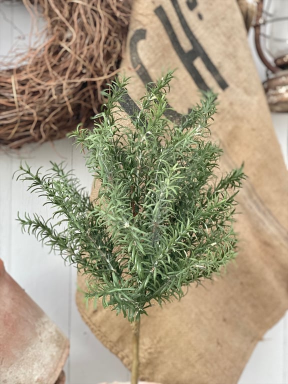 Rosmarin opstammet. billede 3