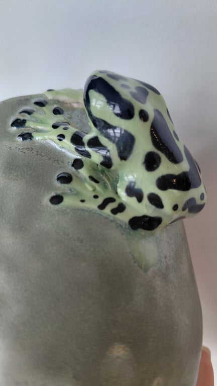 giftfrø kop billede 4