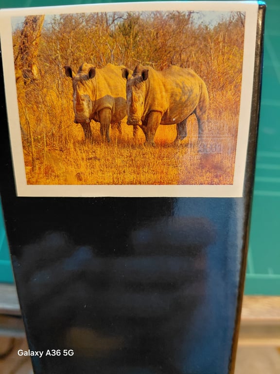 Her er der nogen dyr nede fra de varme  land 30×40