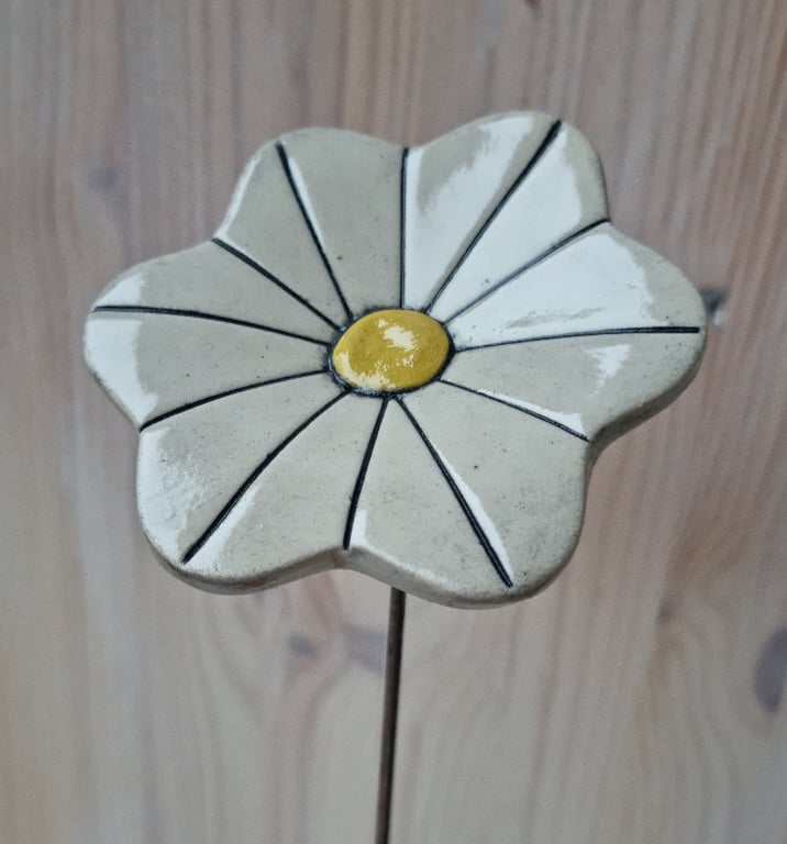 Haveblomst  billede 2