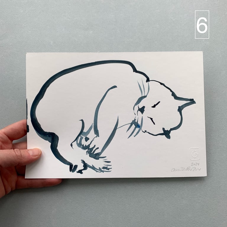 Katteskitser billede 4