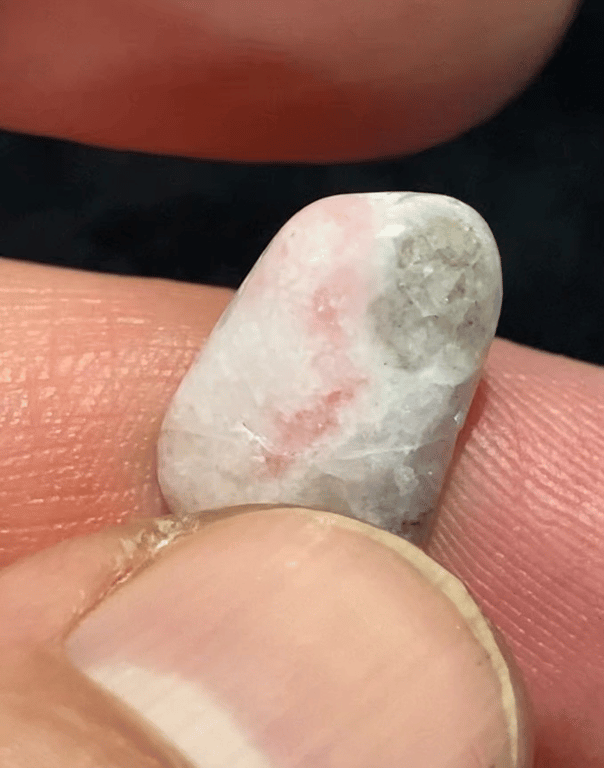 Albino billede 2