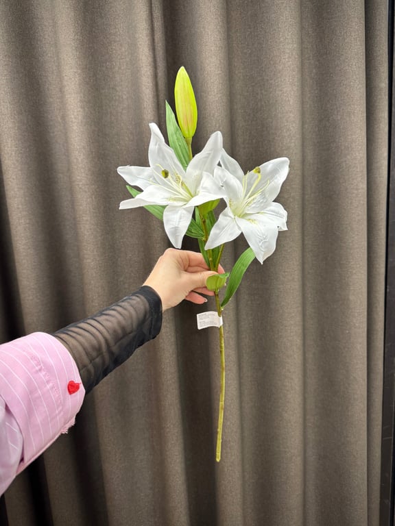 Hvid lilje  billede 3