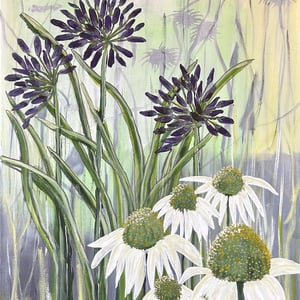 Agapendus – produktbillede