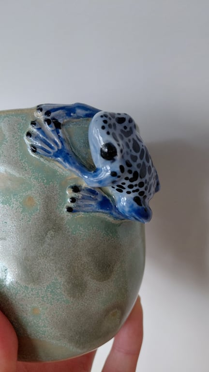 giftfrø kop billede 2