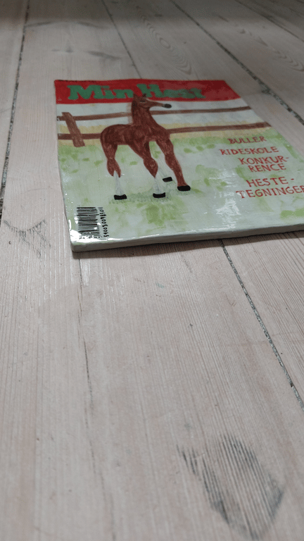 Min hest nr. 2 billede 2