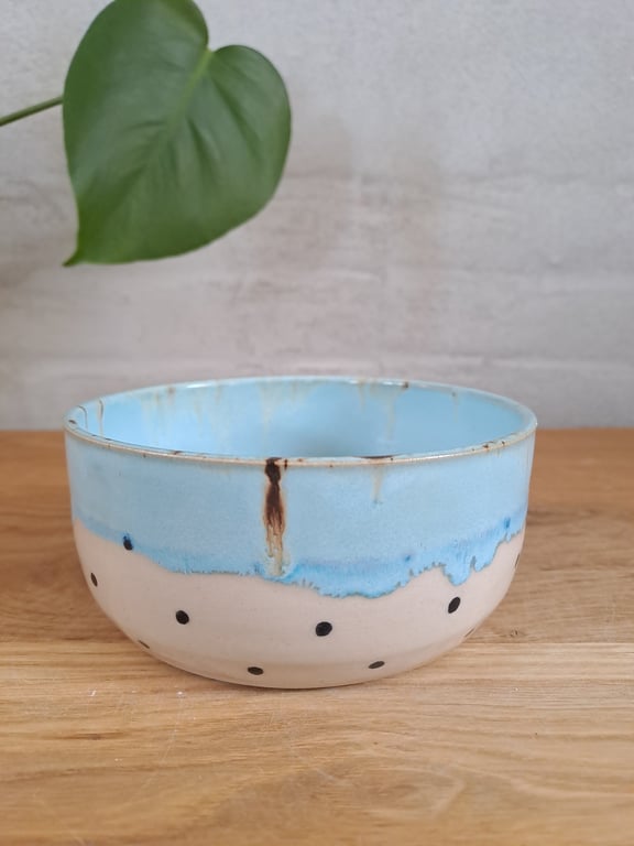 Slikskålen er 13 cm i diameter og 6 cm høj billede 2