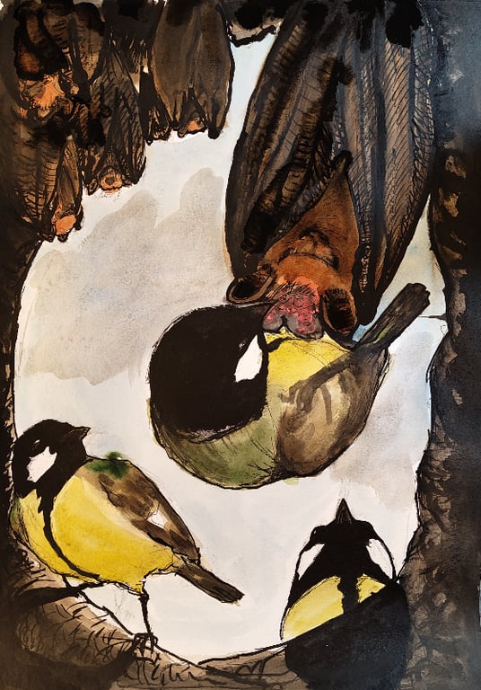 Parus Major &amp; Pipistrelle