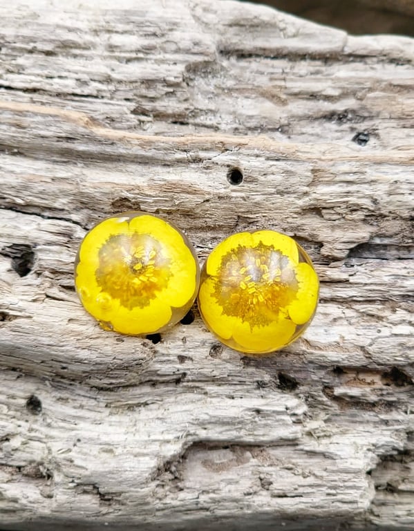 Smørblomst ørestikker.