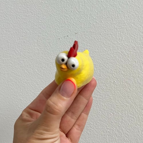 Funky chicks (7)