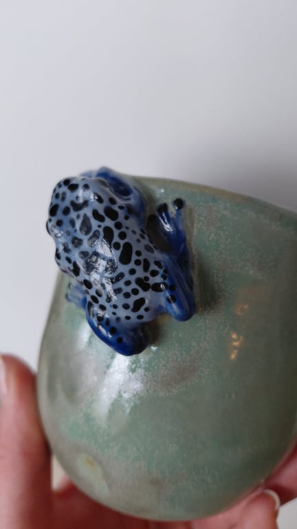 giftfrø kop billede 4