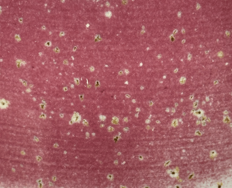 Design din egen kop - Model 4 billede 7