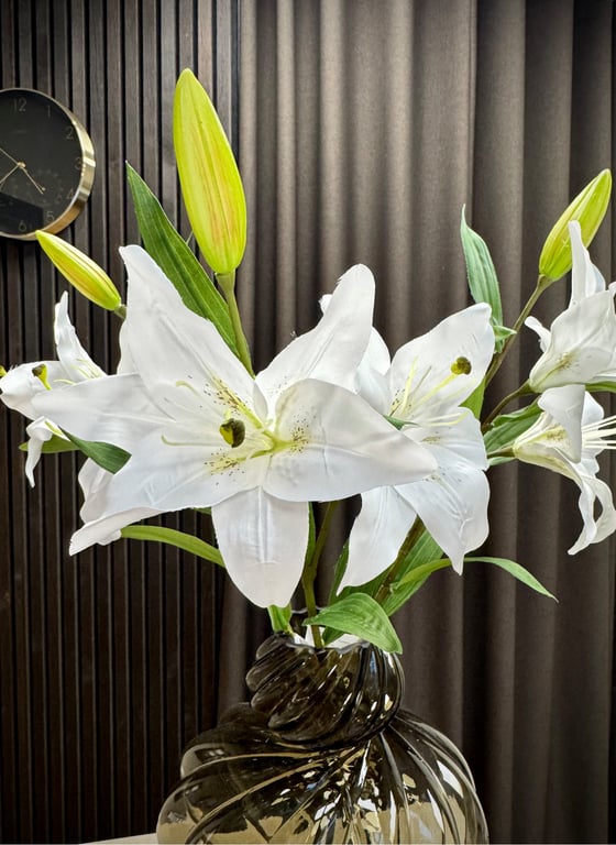 Hvid lilje  billede 2