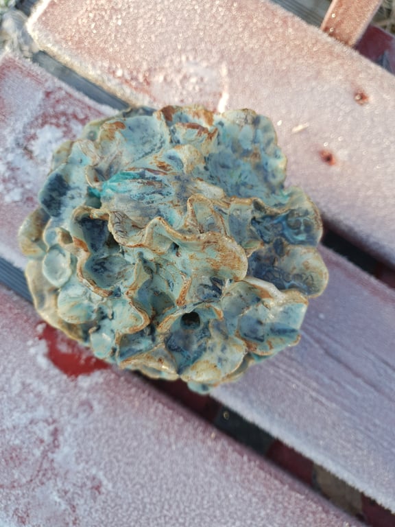 Skrålende lysfigur  billede 6