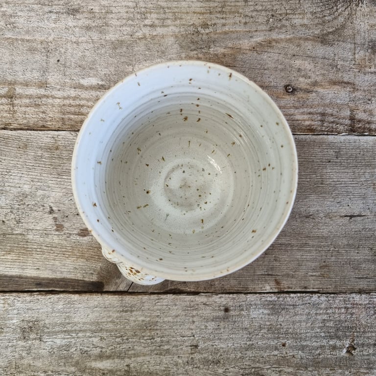 Konkylie kop billede 2