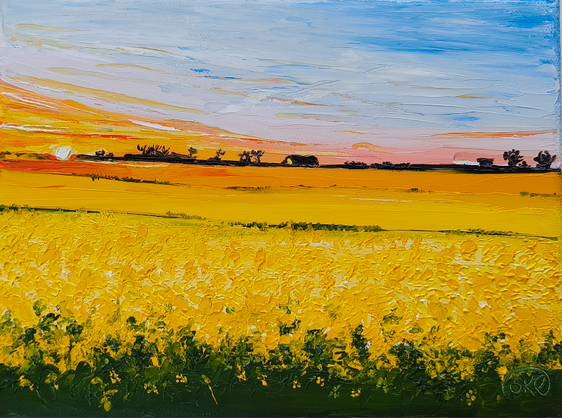 Solnedgang over rapsmarker. 24*18