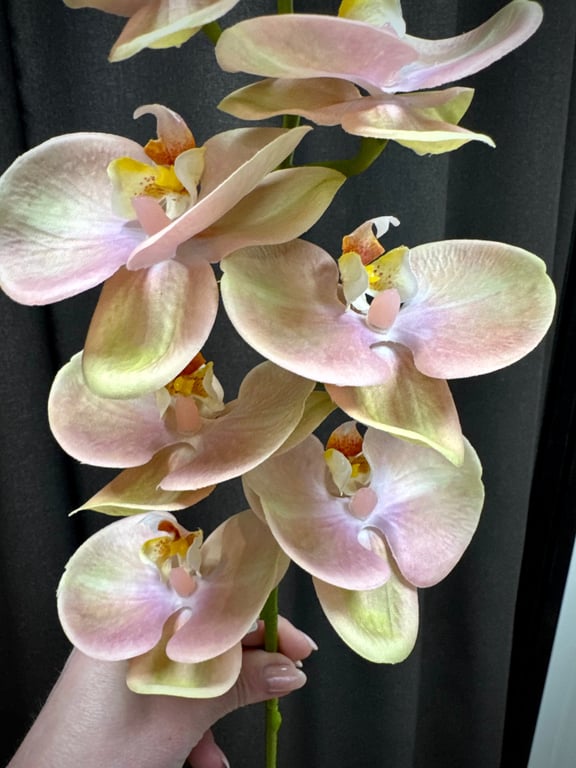 Orkidé stilk rosa billede 3