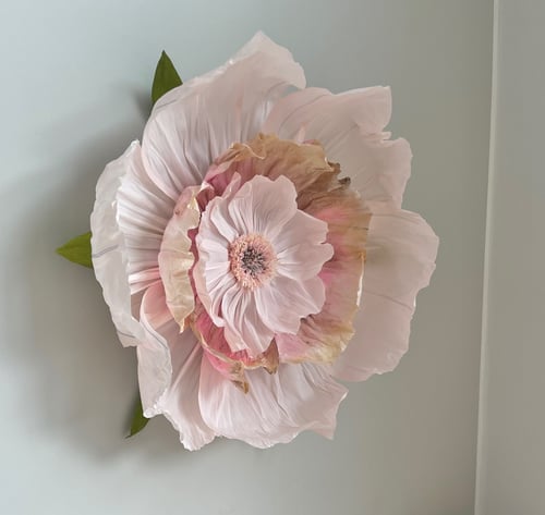 Stor lyserød papirblomst med grønne blade på grå væg. (1)